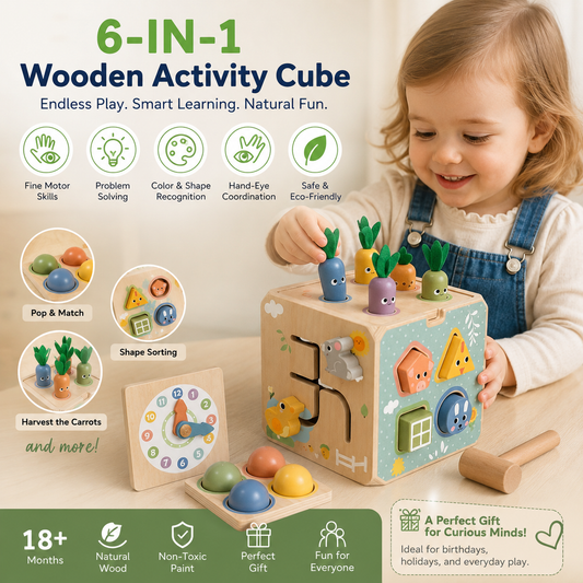 6-in-1 Wooden Active Cube