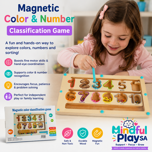 Magnetic Colour & Number Classification Game